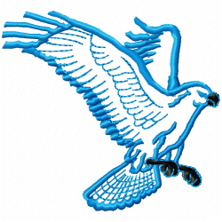 Eagle And Falcon Embroidery Design 3